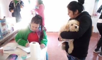 Zoonosis realiz ms de 90 atenciones en una nueva jornada en Las Praderas